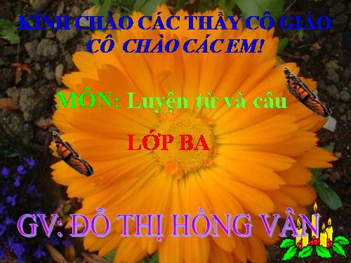 Tuần 13. MRVT: Từ địa phương. Dấu chấm hỏi, chấm than