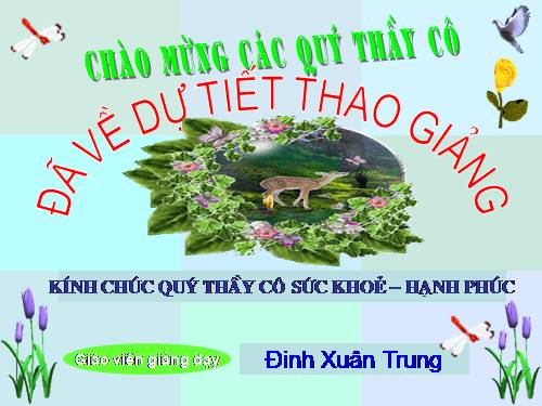 Bài giảng English 6 hay