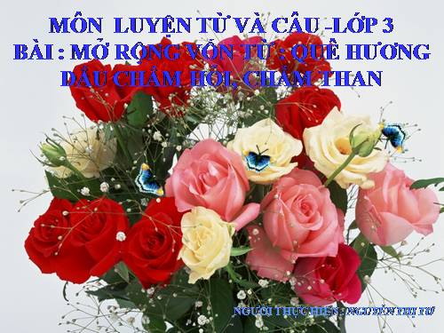 Tuần 13. MRVT: Từ địa phương. Dấu chấm hỏi, chấm than