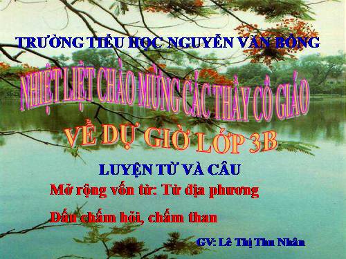 Tuần 13. MRVT: Từ địa phương. Dấu chấm hỏi, chấm than