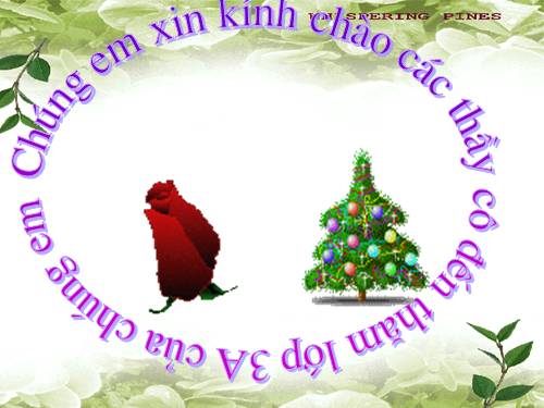 Tuần 17. Ôn về từ chỉ đặc điểm. Ôn tập câu Ai thế nào? Dấu phẩy