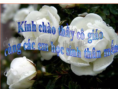 Tuần 4. MRVT: Gia đình. Ôn tập câu: Ai là gì?