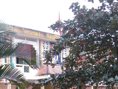 Tuần 13. MRVT: Từ địa phương. Dấu chấm hỏi, chấm than