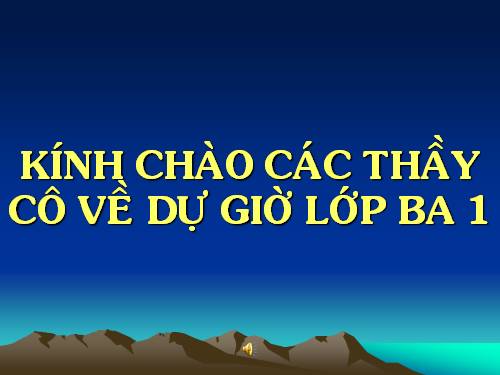 Tuần 13. MRVT: Từ địa phương. Dấu chấm hỏi, chấm than
