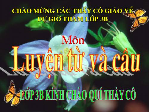 Tuần 14. Ôn tập về từ chỉ đặc điểm. Ôn tập câu Ai thế nào?