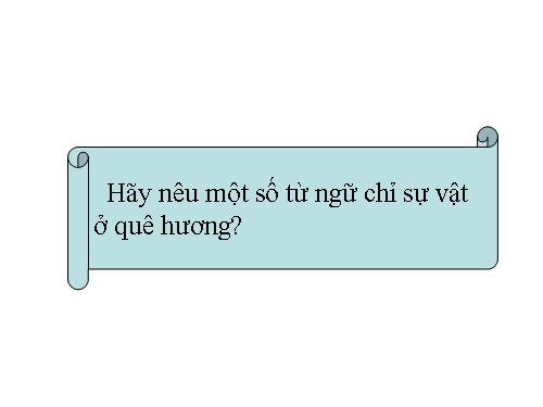 Tuần 13. MRVT: Từ địa phương. Dấu chấm hỏi, chấm than