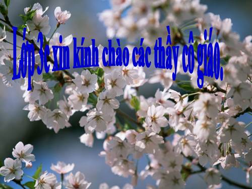 Tuần 5. So sánh