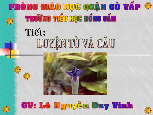 Tuần 14. Ôn tập về từ chỉ đặc điểm. Ôn tập câu Ai thế nào?