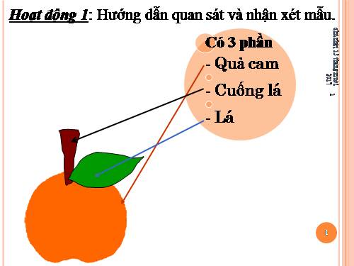 Bài 4. Xé, dán hình quả cam