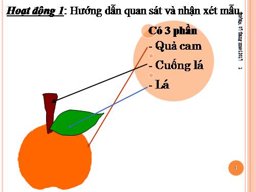 Bài 4. Xé, dán hình quả cam