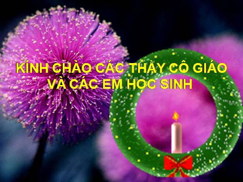 Bài 3. Xé, dán hình vuông, hình tròn