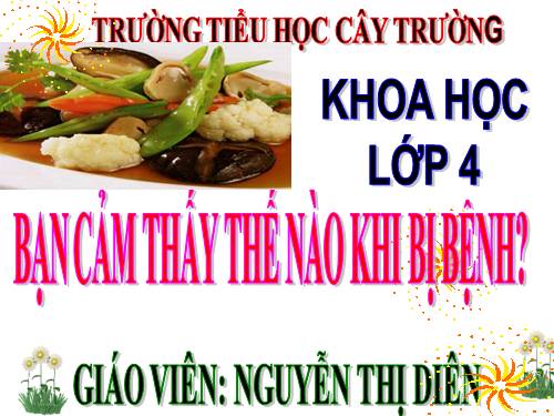 Bài 15. Bạn cảm thấy thế nào khi bị bệnh?