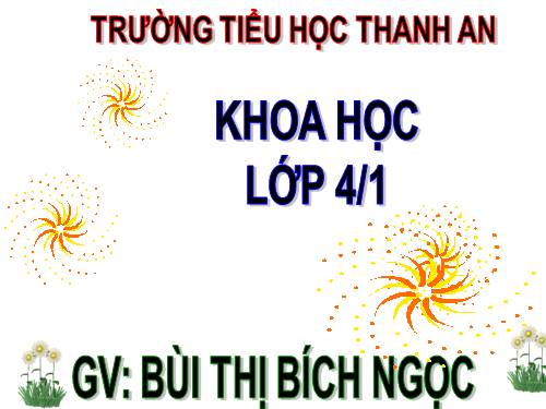 Bài 13. Phòng bệnh béo phì