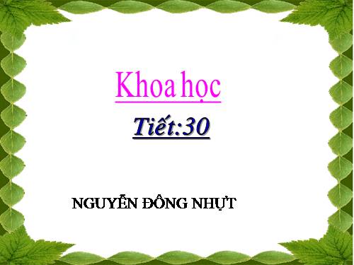 Bài 29. Tiết kiệm nước