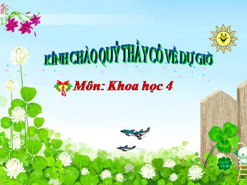 Bài 20. Nước có những tính chất gì?