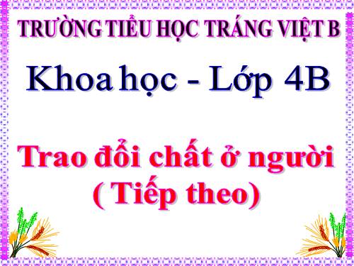 Bài 3. Trao đổi chất ở người (tiếp theo)