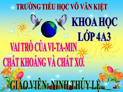 Bài 6. Vai trò của vi-ta -min, chất khoáng và chất xơ