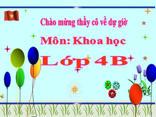 Bài 62. Động vật cần gì để sống?
