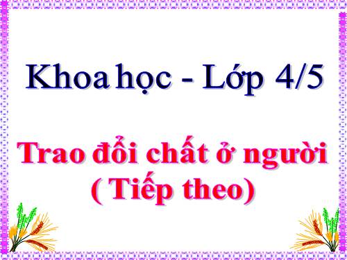 Bài 3. Trao đổi chất ở người (tiếp theo)