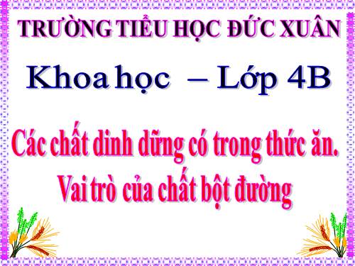 Bài 4. Các chất dinh dưỡng có trong thức ăn. Vai trò của chất bột đường