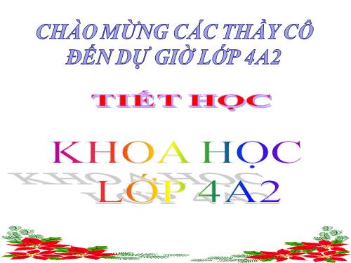 Bài 59. Nhu cầu chất khoáng của thực vật