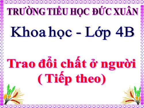 Bài 3. Trao đổi chất ở người (tiếp theo)