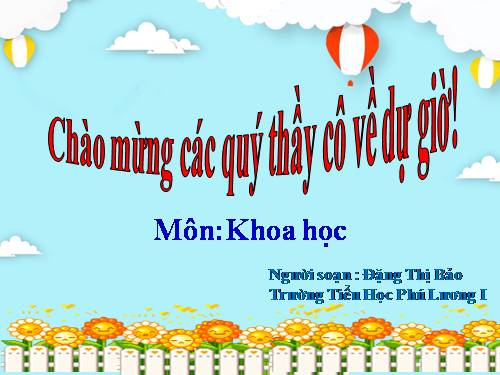 Bài 47. Ánh sáng cần cho sự sống