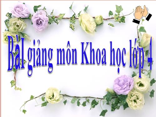 Bài 1. Con người cần gì để sống?
