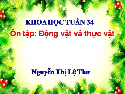 Bài 67 - 68. Ôn tập: Thực vật và động vật