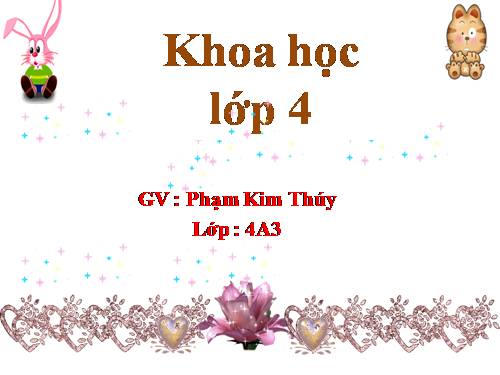 Bài 20. Nước có những tính chất gì?
