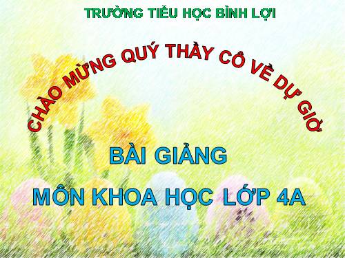 âm thanh trong cuộc sống