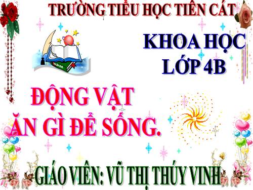 Bài 63. Động vật ăn gì để sống?