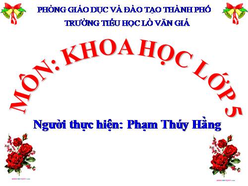 Phòng bệnh sốt xuất huyết