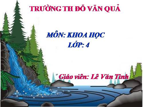 Khoa hoc 4. bài 59 Nhu cầu chất khoáng của thực vật