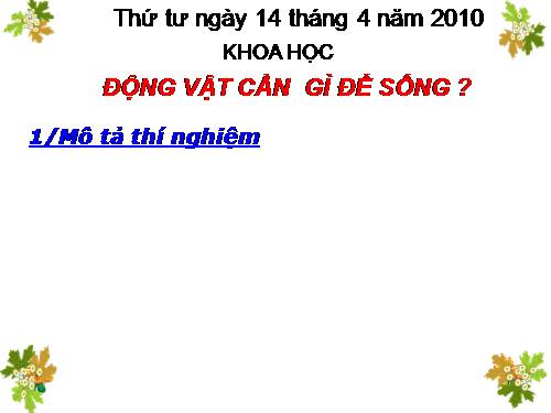 Bài 62. Động vật cần gì để sống?