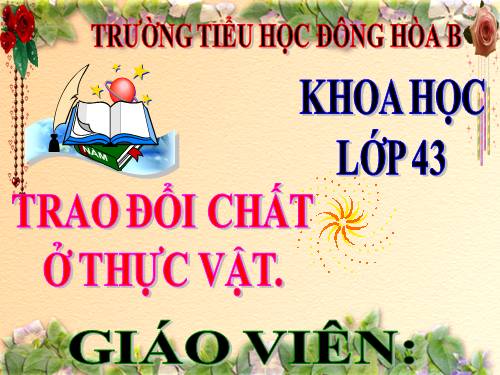 Bài 61. Trao đổi chất ở thực vật