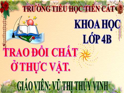Bài 61. Trao đổi chất ở thực vật