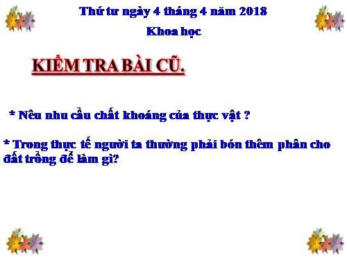 Bài 60. Nhu cầu không khí của thực vật