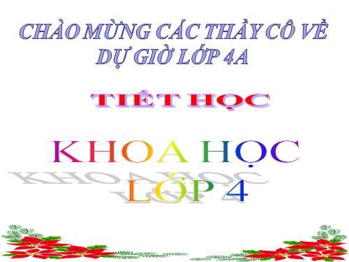 Bài 59. Nhu cầu chất khoáng của thực vật