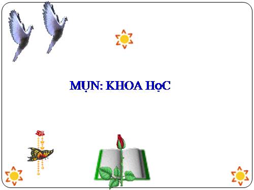 Bài 60. Nhu cầu không khí của thực vật