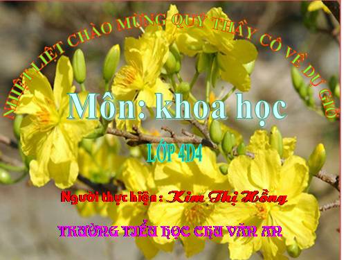Bài 59. Nhu cầu chất khoáng của thực vật