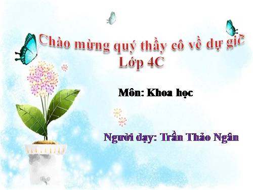 Bài 46. Bóng tối