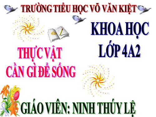 Bài 57. Thực vật cần gì để sống?