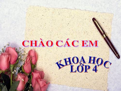 Bài 57. Thực vật cần gì để sống?