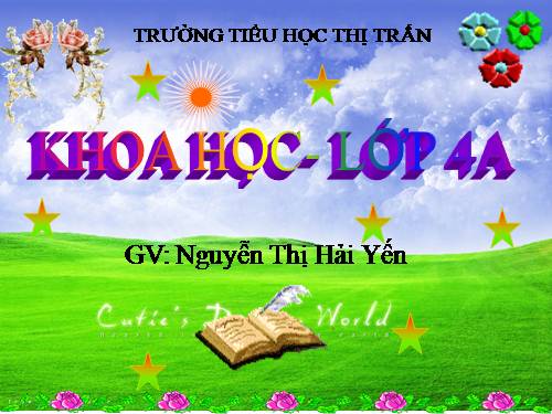 Bài 54. Nhiệt cần cho sự sống
