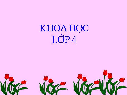 Bài 40. Bảo vệ bầu không khí trong sạch