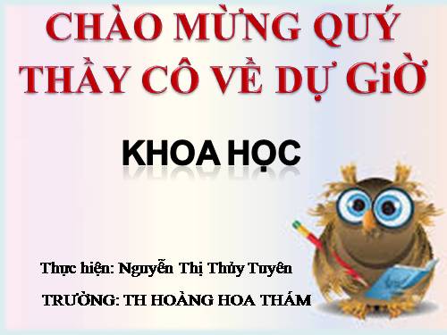 Bài 52. Vật dẫn nhiệt và vật cách nhiệt