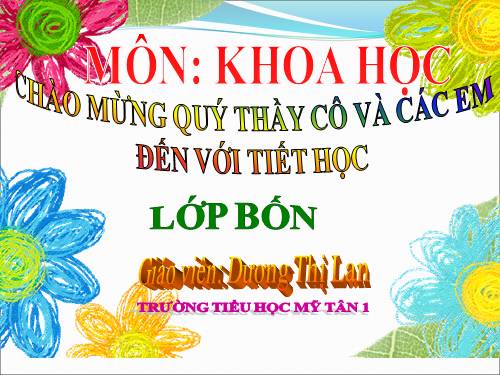 Bài 1. Con người cần gì để sống?