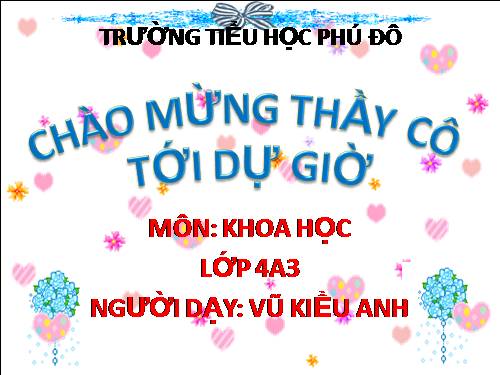 Bài 53. Các nguồn nhiệt