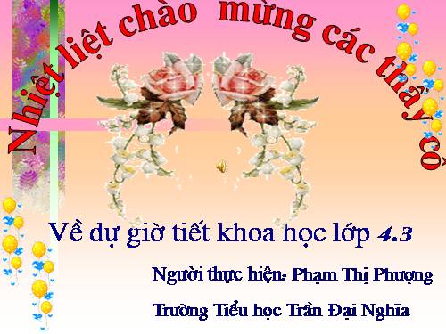 Bài 49. Ánh sáng và việc bảo vệ đôi mắt